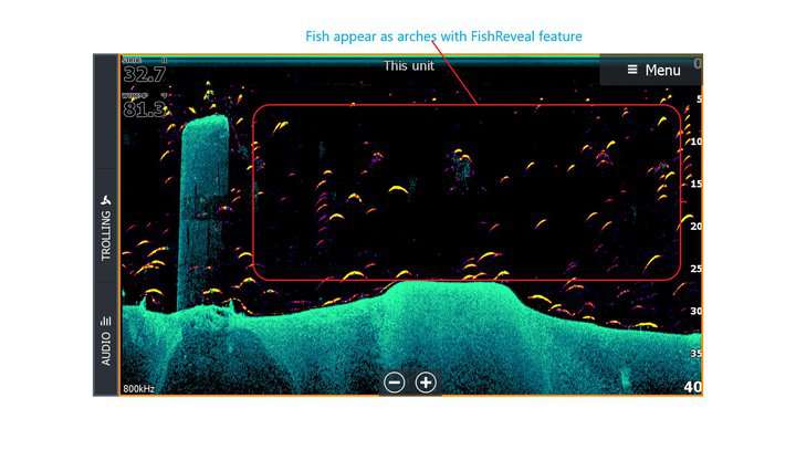 DownScan Imaging with Fish Reveal feature