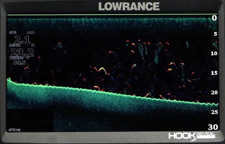 lowrance hook reveal downscan with fish reveal activated