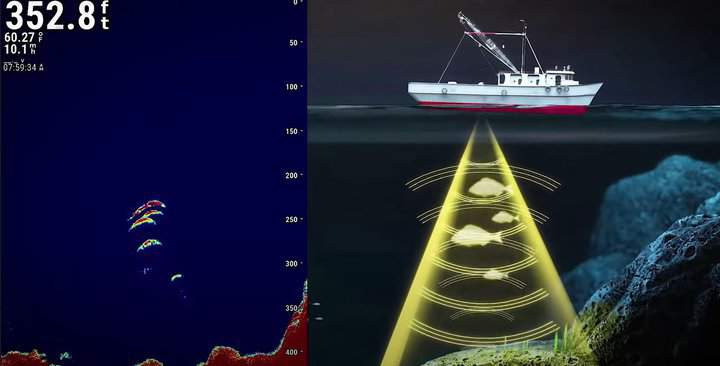 transducer sonar beam and somar image side by side
