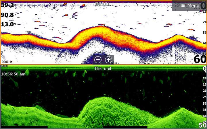 hds live 2d sonar and downscan pic