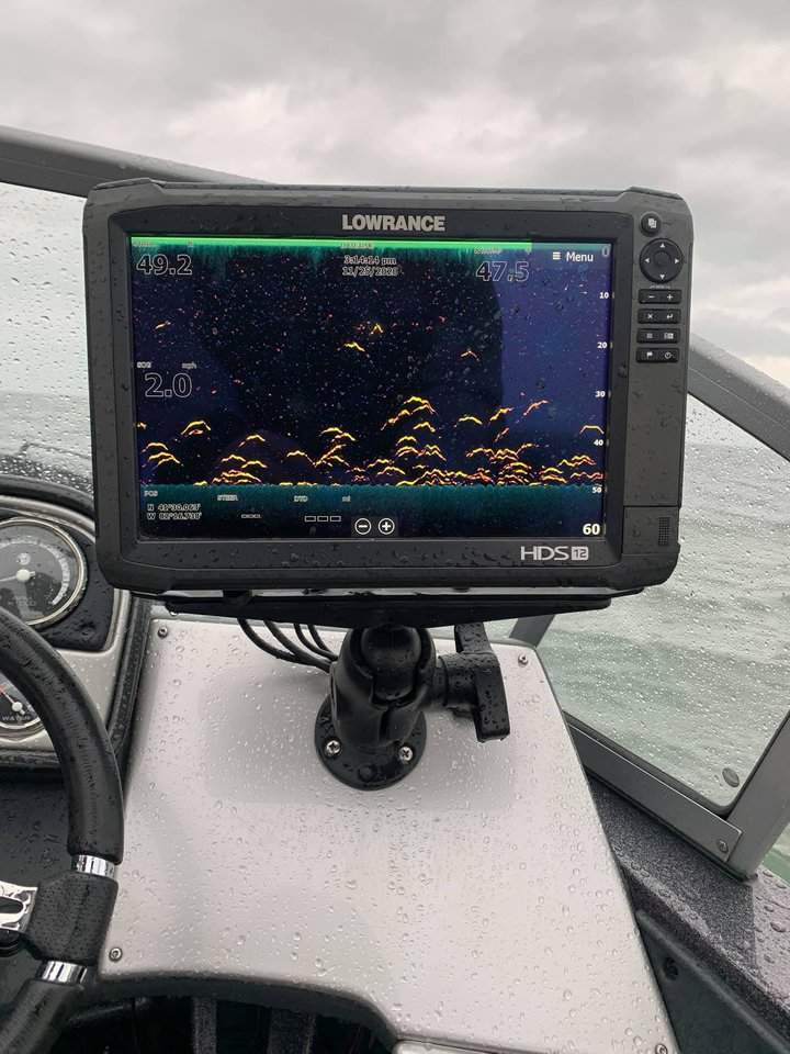 how walleye look like on down imaging fish finder